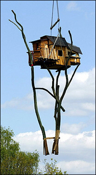 First German Tree House Hotel Opens In Zentendorf, Eastern Germany