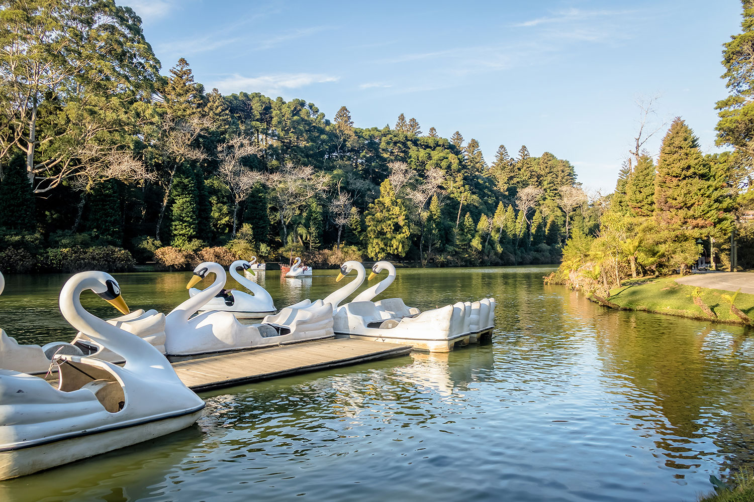 Lago Negro (Black Lake) with Swan Pedal Boats - Gramado, Rio Grande do Sul, Brazil — Photo by Booking.com