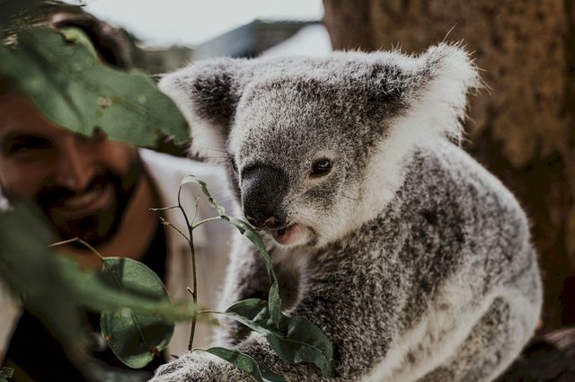 Outlook for 2024: the Rise and Rise of Experiential Travel