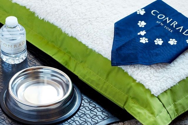 Hotel Amenities: Why They Are Important and How They Impact Guests