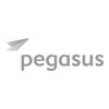 Pegasus logo