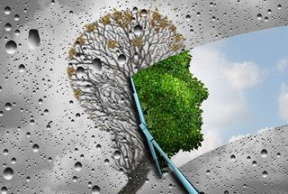 Regenerative Hospitality is Here to Stay