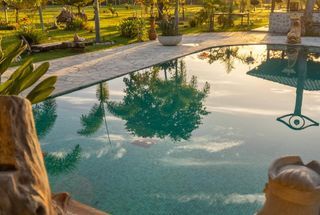 Beyond the Spa: How Strategic Wellness Audits Help Boutique Hotels Find Their Niche and Drive New Revenue