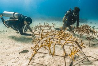 Redefining Hospitality Through Sustainability and Innovation