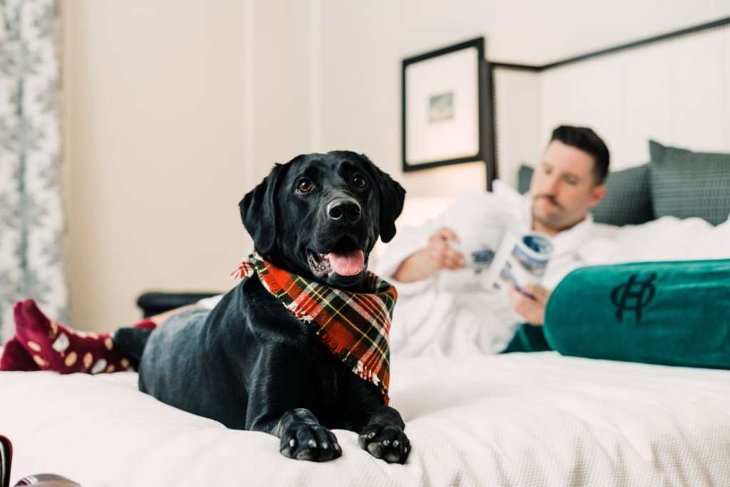 20 Pawsome Pet-Friendly Hotels in Washington - The Emerald Palate