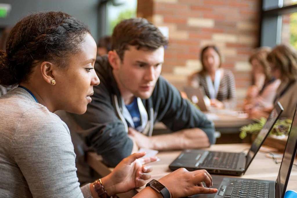 Hotel Brand Management Program