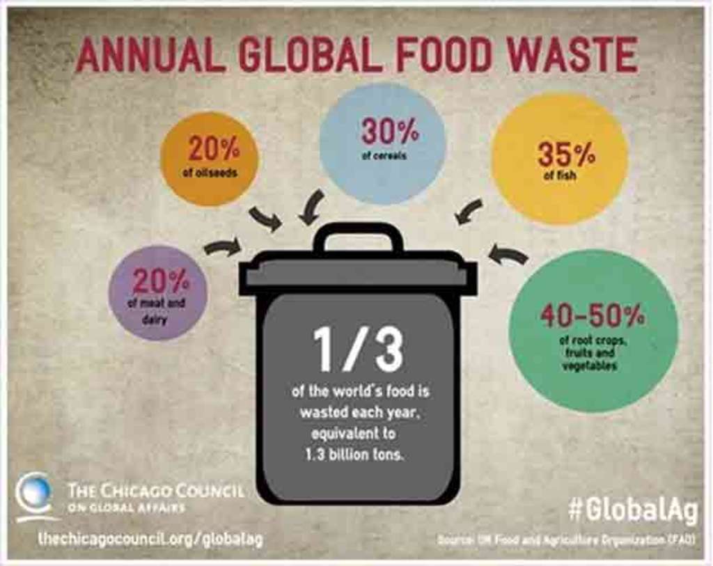 Food Waste Management Innovative Solutions For Hospitality By Carlos   Xxl 153156513 